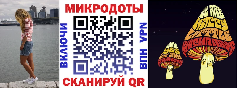 Псилоцибиновые грибы мицелий цена Рошаль